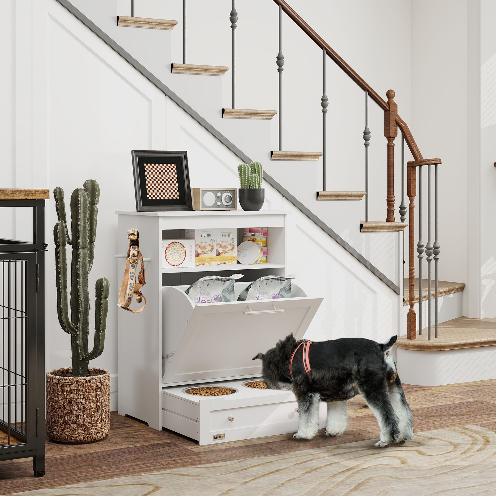 애완동물 급식 스테이션, 개와 고양이 사료 보관 급식  - Food Storage For Dog 리뷰 및 가격