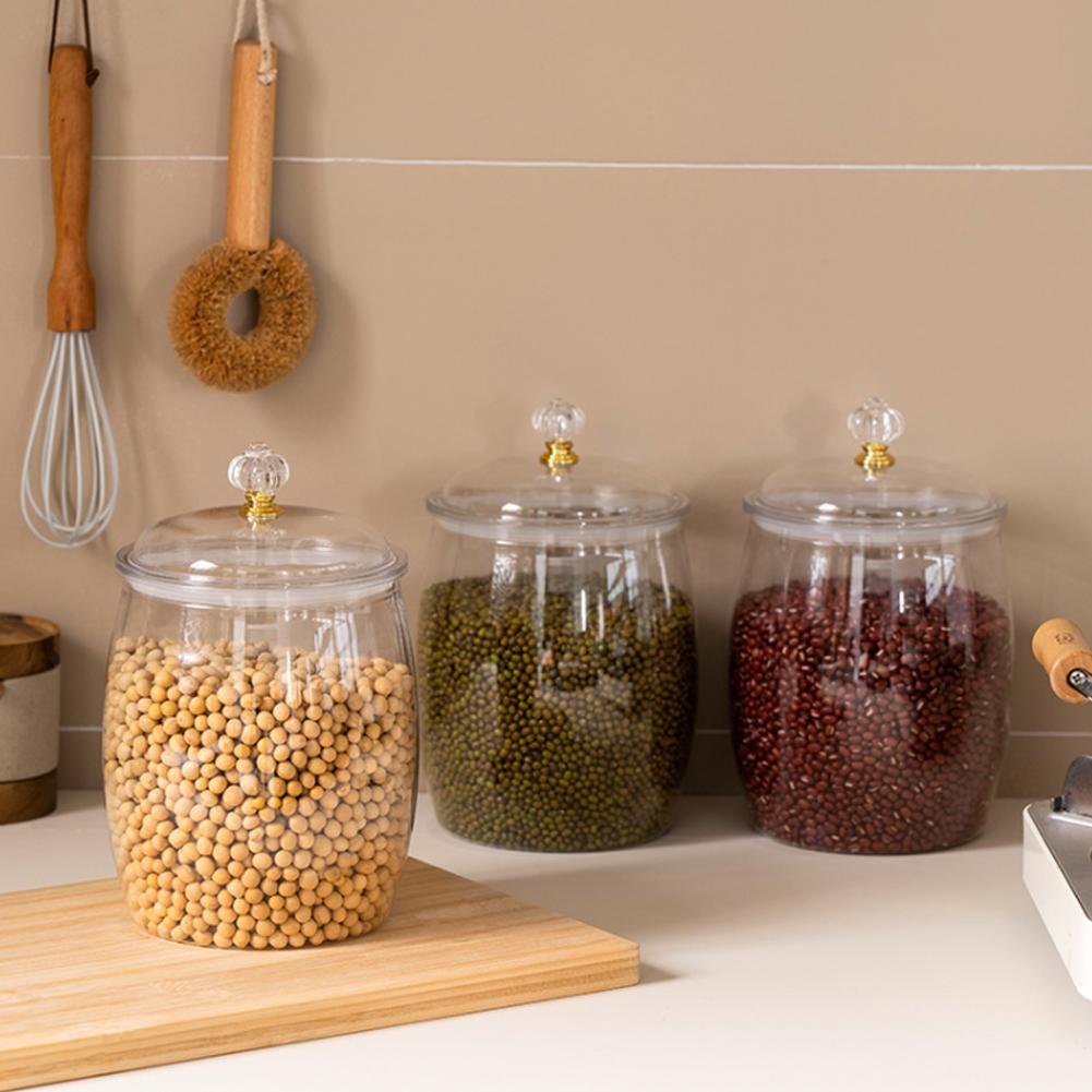 대형 투명 플라스틱 밀폐 용기, 쿠키, 사탕, 스낵,  - Food Storage Plastic Container 리뷰 및 가격